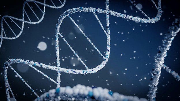 Diversity In Precision Medicine Precision medicine