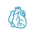 Cardiology