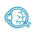 Ophthamology